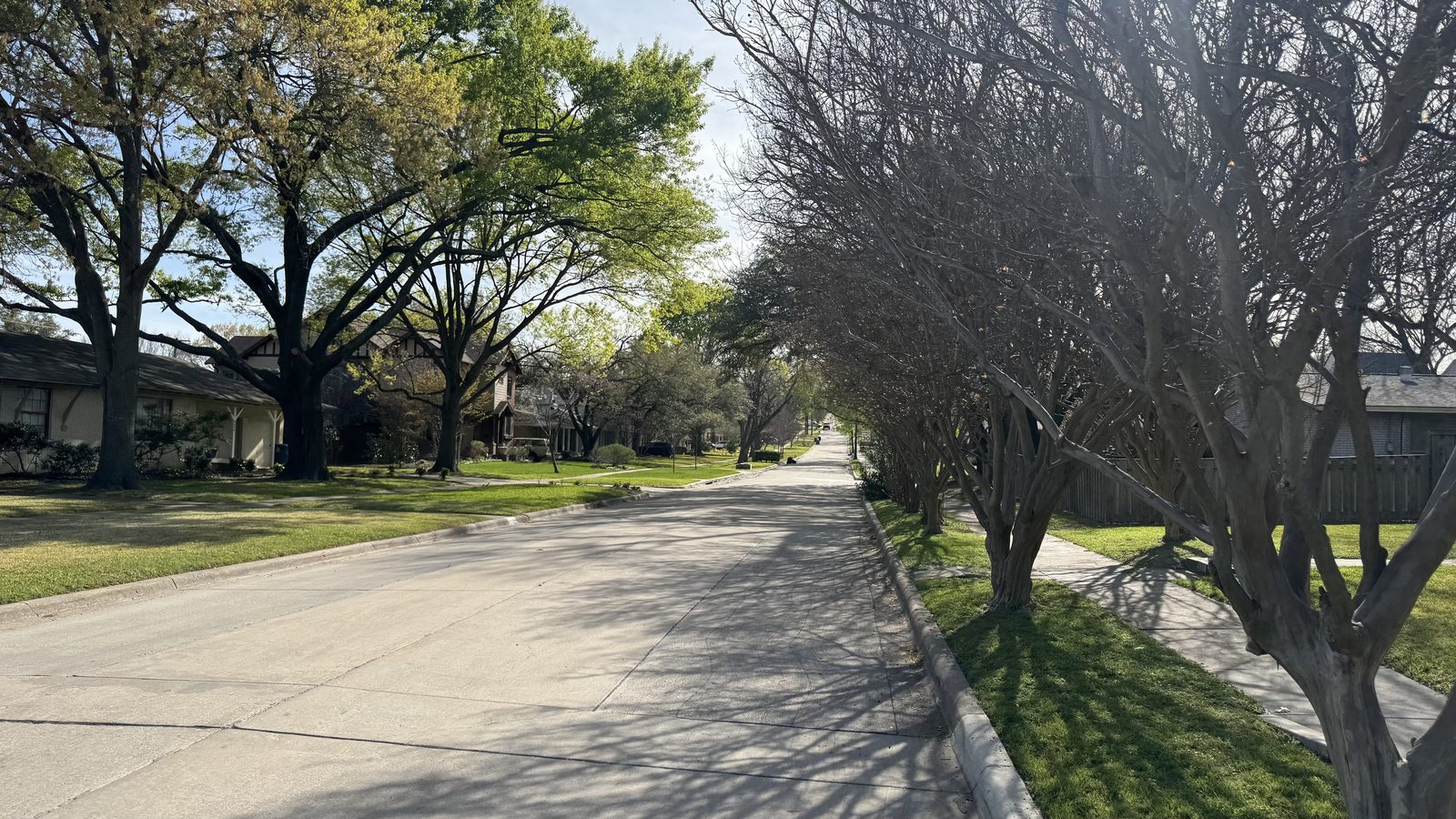 Tree-lined residential view of Loving Avenue